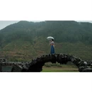 黄山旅游 缩略图 9