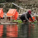 黄山旅游 缩略图 3