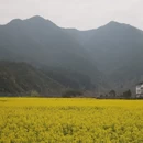 黄山旅游 缩略图 6