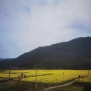 黄山旅游 缩略图 9