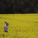 黄山旅游 缩略图 8