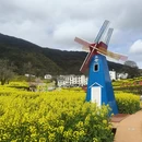 黄山旅游 缩略图 4