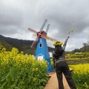黄山旅游 缩略图 2
