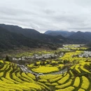 黄山旅游 缩略图 3