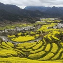 黄山旅游 缩略图 7