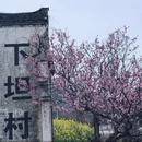 黄山旅游 缩略图 6