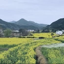 黄山旅游 缩略图 5