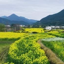 黄山旅游 缩略图 8
