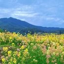 黄山旅游 缩略图 3