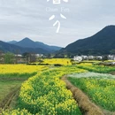 黄山旅游 缩略图 2
