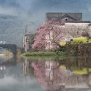 黄山旅游 缩略图 9