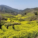 黄山旅游 缩略图 3