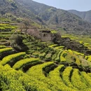 黄山旅游 缩略图 8