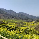 黄山旅游 缩略图 9