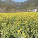 上饶旅游 缩略图 3
