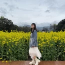 黄山旅游 缩略图 4