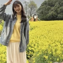 黄山旅游 缩略图 3