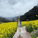 黄山旅游 缩略图 5