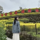 黄山旅游 缩略图 9