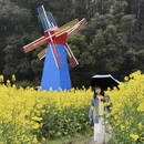 黄山旅游 缩略图 6