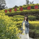 黄山旅游 缩略图 8