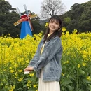 黄山旅游 缩略图 7