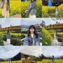 黄山旅游 缩略图 1