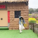 黄山旅游 缩略图 14