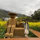 黄山旅游 缩略图 12