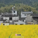 黄山旅游 缩略图 6