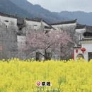 黄山旅游 缩略图 5