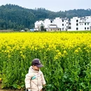 景德镇旅游 缩略图 2