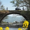 黄山旅游 缩略图 16