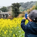 景德镇旅游 缩略图 4