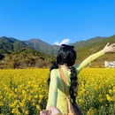 黄山旅游 缩略图 1