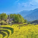 黄山旅游 缩略图 3