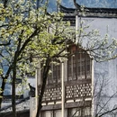 黄山旅游 缩略图 2