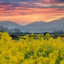 上饶旅游 缩略图 3