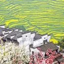 上饶旅游 缩略图 1