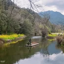 黄山旅游 缩略图 3