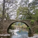 黄山旅游 缩略图 2
