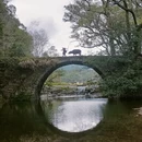 黄山旅游 缩略图 5