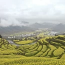 黄山旅游 缩略图 6