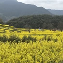 上饶旅游 缩略图 3