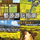 黄山旅游 缩略图 1