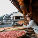黄山旅游 缩略图 4