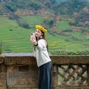 黄山旅游 缩略图 7