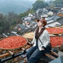 黄山旅游 缩略图 9