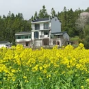 黄山旅游 缩略图 2