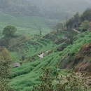 黄山旅游 缩略图 6